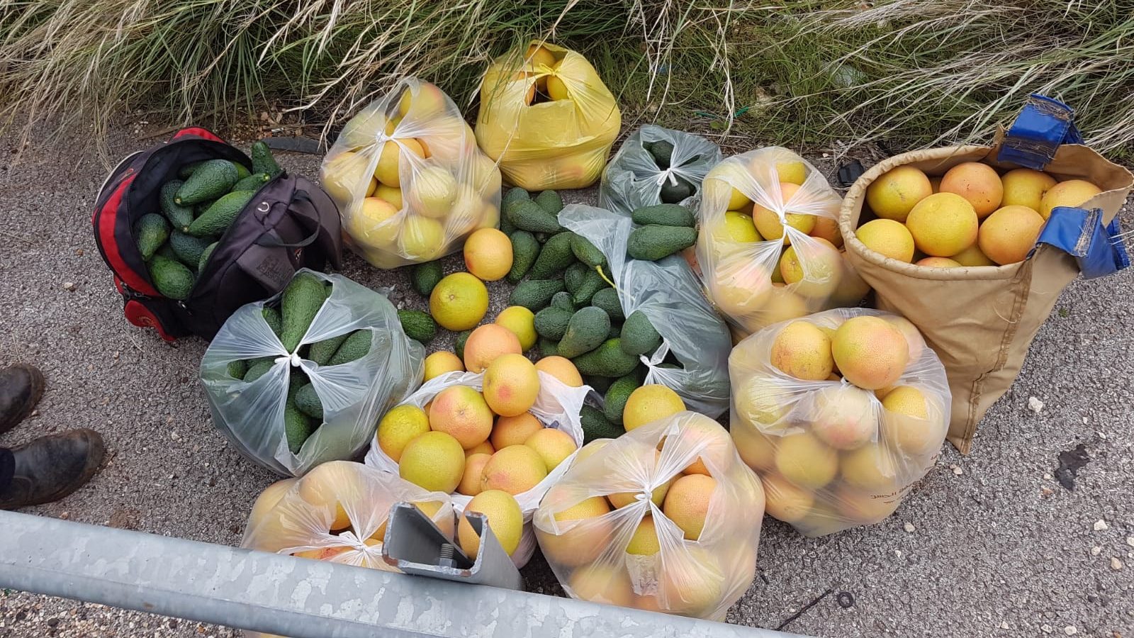 צילום: דוברות המשטרה 2 ערבים מסכנין נעצרו לאחר שגנבו 154 ק"ג של תוצרת חקלאית