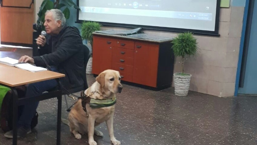 שונים אך דומים