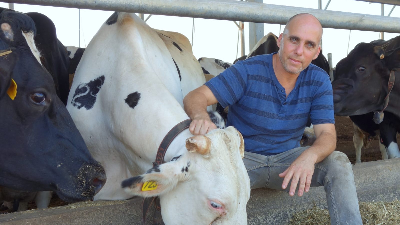 צילום: יוסי בלט יום של הישגים לרפתנים: ועדת הכלכלה של הכנסת הביעה תמיכה במאבקם