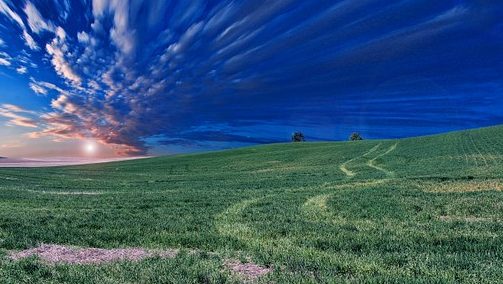 צילום: Pixabay קרקעות להשקעה באשדוד