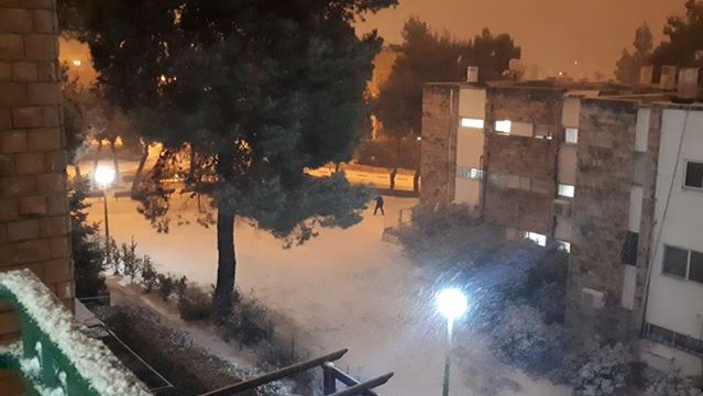 צילום: עדי אלבוים הכל לבן: צפו בשלג שנערם ברחבי ארצנו