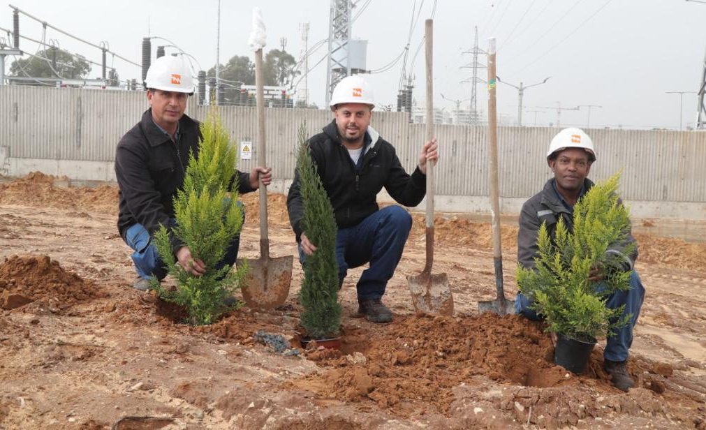 ט"ו בשבט בחברת החשמל