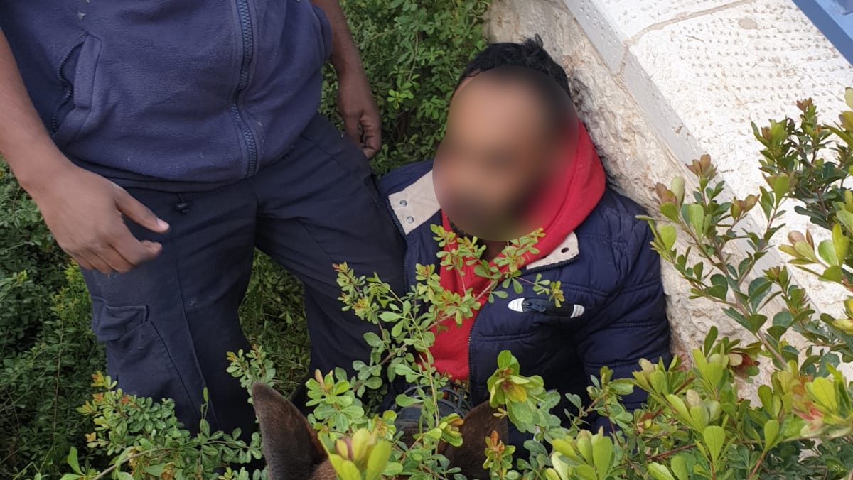 צילום: דוברות המשטרה בעזרת הכלב המשטרתי "אכילס" ערבי נתפס על חם בעת פריצה לבית בירושלים