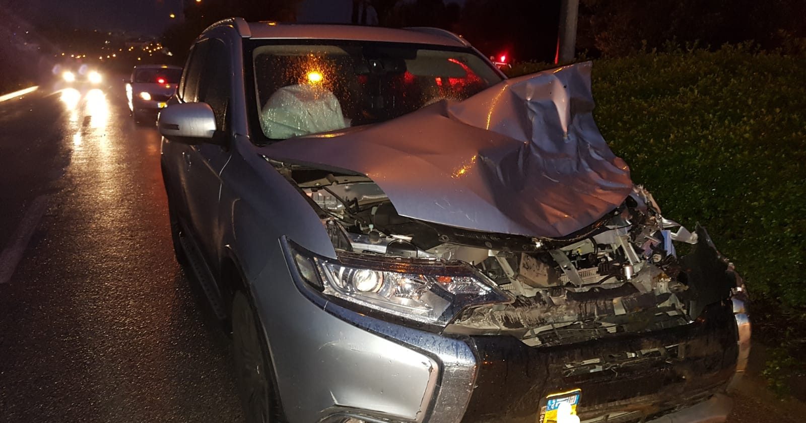 צילום: דוברות איחוד הצלה אזרח ירה באוויר לאחר שפרה ניסתה לתקוף חובשים בזירת תאונת דרכים