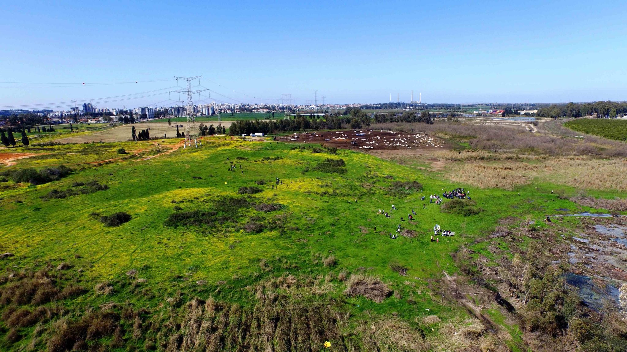 צילום: דב גרינבלט, החברה להגנת הטבע קהילת חדרה והסביבה של החברה להגנת הטבע תערוך הפנינג בבריכת החורף שבביצת זיתא