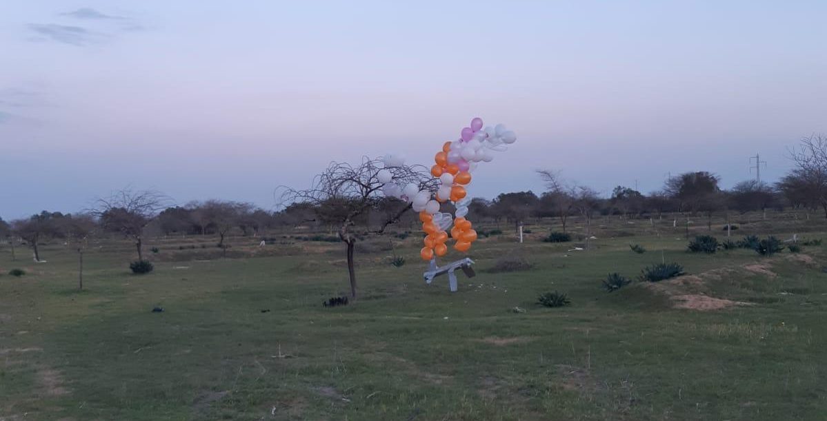 צילום: דוברות אשכול הטרור מרים ראש: צרור בלונים ענק, אליו חובר חפץ חשוד הנראה כטיסן, אותר באשכול (תמונות)
