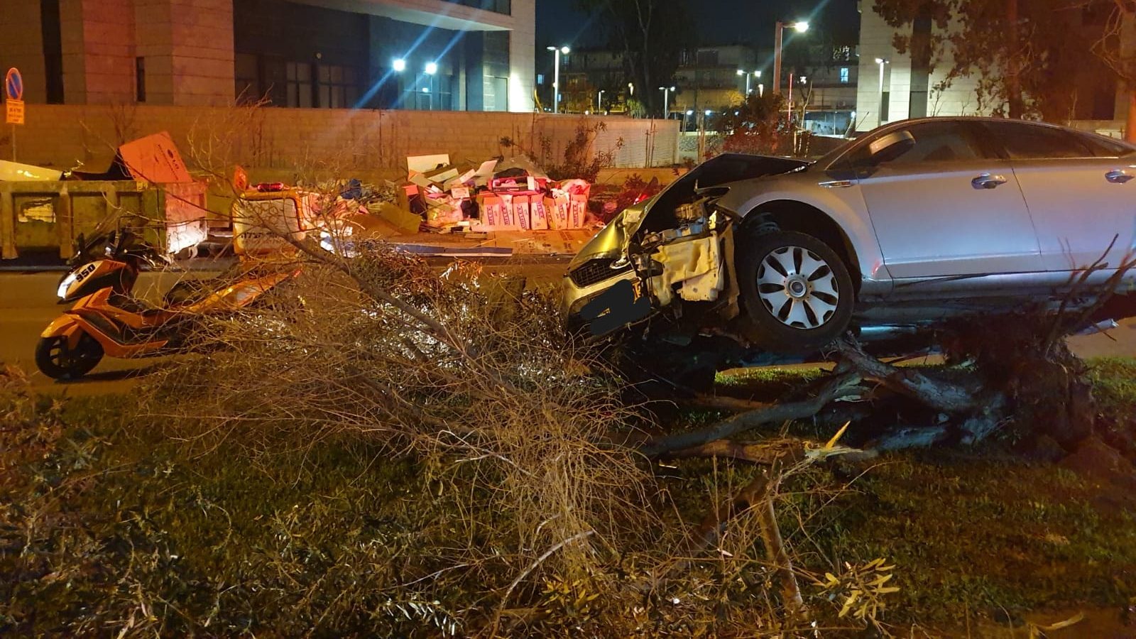 צילום: דוברות איחוד הצלה בן 70 עלה עם רכבו על אי תנועה ופגע בעץ בחולון – מצבו קל