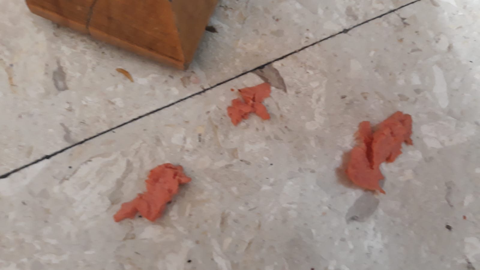 צילום: דוברות ארגון הצלה בת 3 נחנקה בעת אכילת נקניקייה בת"א – מצבה אנוש