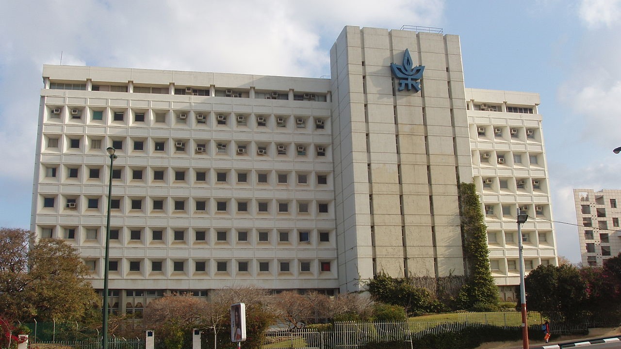צילום: ויקיפדיה לראשונה בעולם: חוקרים ישראלים הצליחו להדפיס לב חי