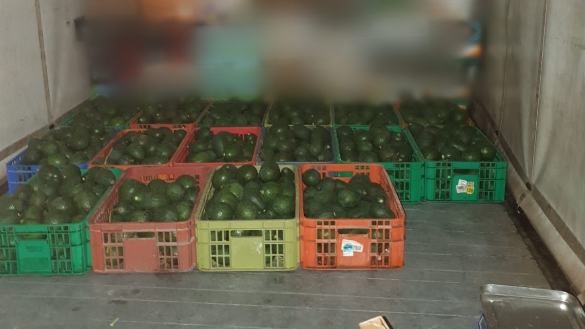 צילום: דוברות המשטרה שוטרי מג"ב סיכלו גניבת 340 ק"ג אבוקדו משטחים חקלאיים בקיבוץ אושה