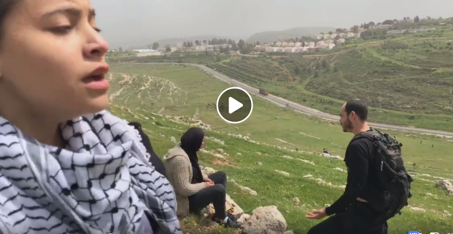 צילום: עד כאן ארגון 'עד כאן' דורש לפתוח בחקירה נגד אנרכיסטים שתקפו חיילי צה"ל בזמן המתיחות בדרום
