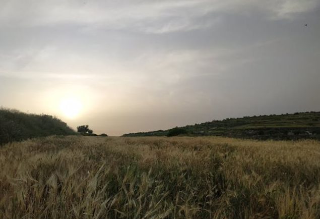צילום: אבישג בשארי בוקר טוב ישראל | תחזית מזג האוויר: בהיר עד מעונן חלקית, יהיה חם מהרגיל