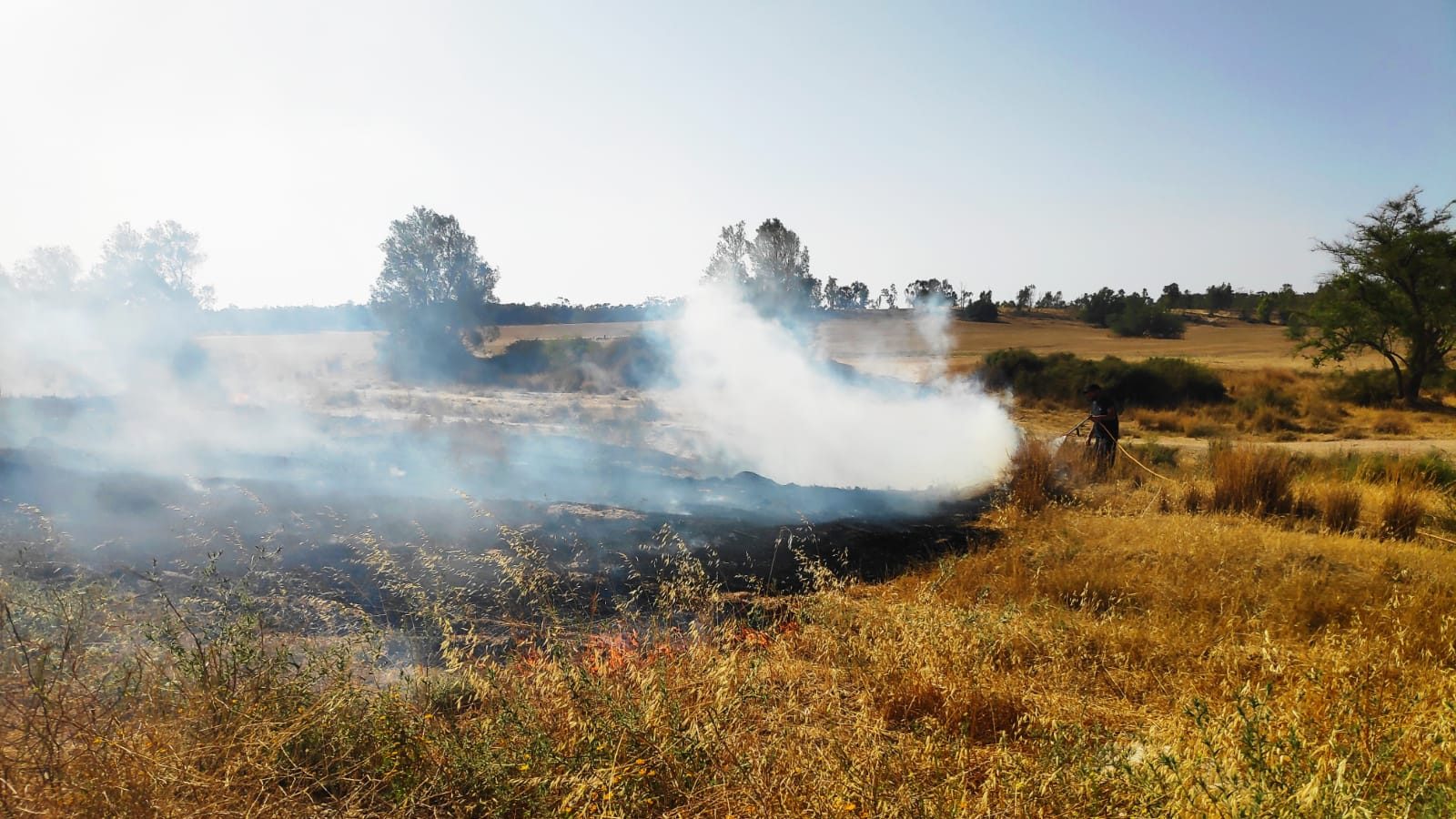 צילום: 0404 הטרור מעזה נמשך: בלוני תבערה הציתו שתי שריפות בעוטף