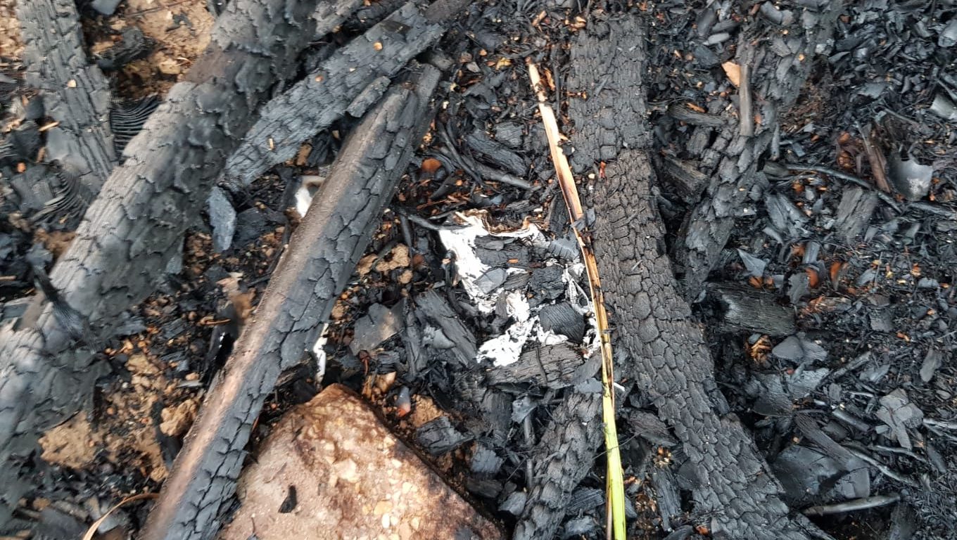 צילום: דוברות כב בכבאות מאשרים: בלון תבערה שרף פרגולה של בית פרטי בנתיבות