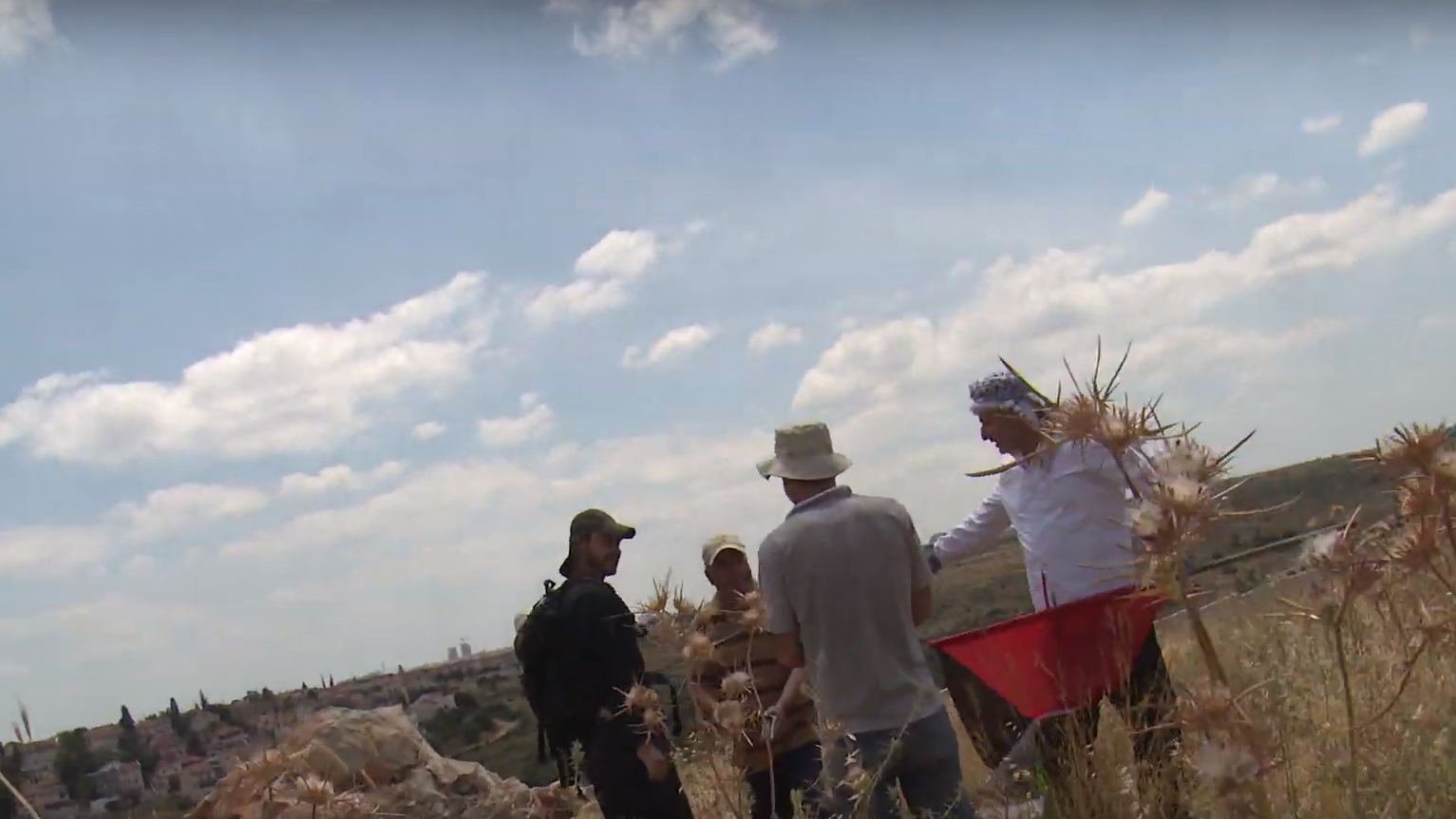 צילום: ארגון 'עד כאן' השופט הוציא צו הבאה לאנרכיסט הסרבן. עו"ד פלק: "נעמוד על כך שביהמ"ש ימצה את הדין עם תוקפי חיילי צה"ל"