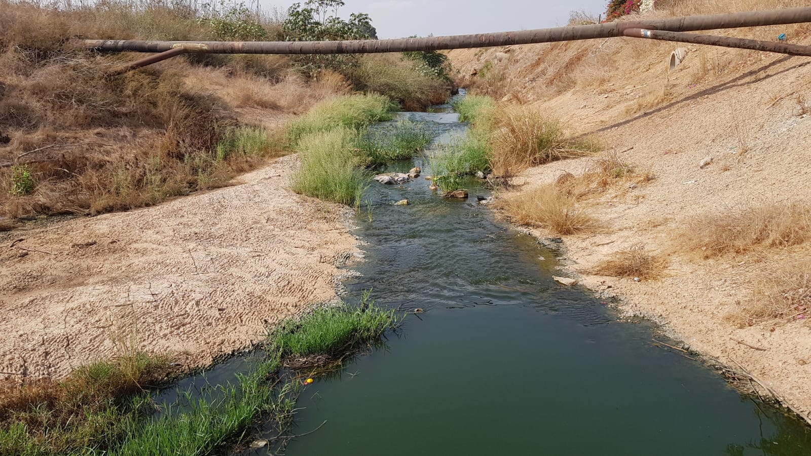 צילום: השכנים של הירקון מהאסלה בקלקיליה לים של ת"א: כמויות אדירות של ביוב מהרשות זורמות לנחל הירקון ויובליו