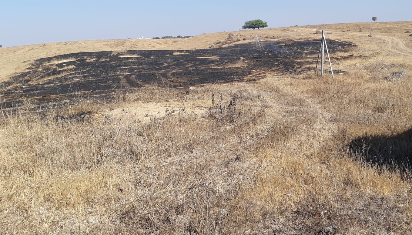 צילום: עמירם כהן, רט טרור האש מעזה: בלוני תבערה הציתו 5 שריפות בעוטף