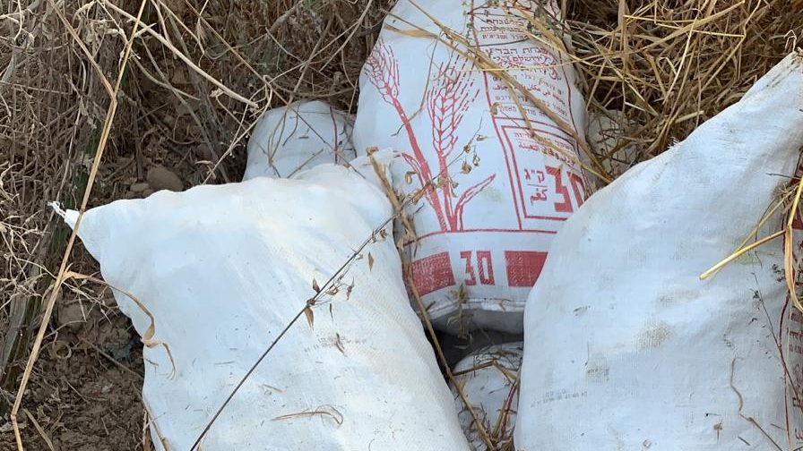 צילום: דוברות המשטרה בלשי מג