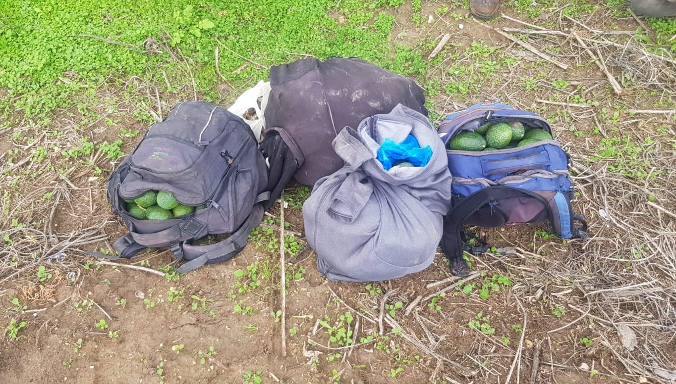 צילום: דוברות המשטרה שוטרי מג