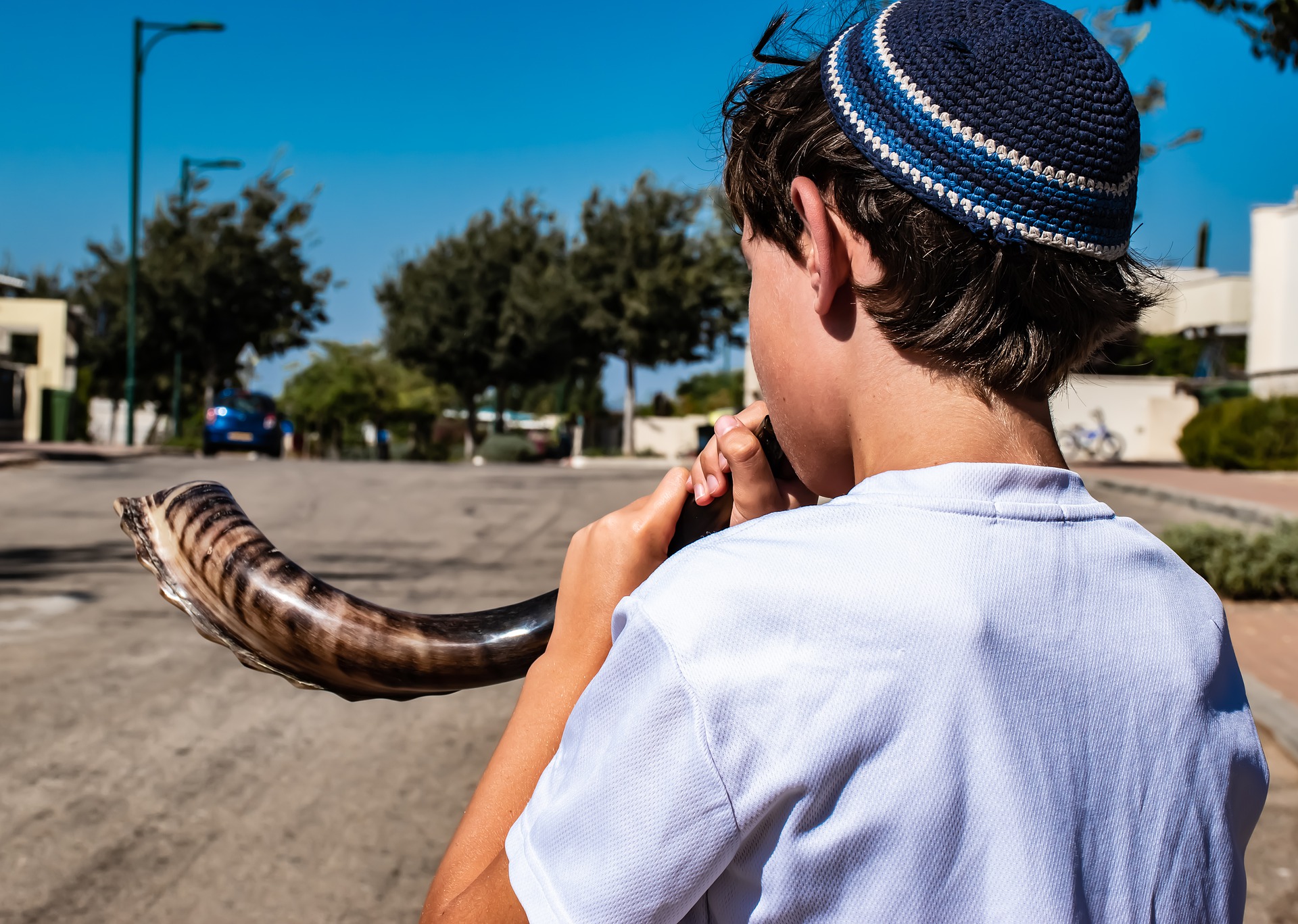 שופר – איך לקנות שופר כשר ויפה?