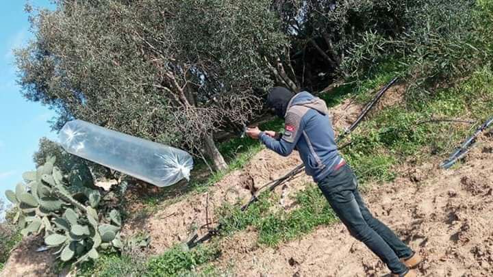 צילום: דוברות שער הנגב תירוצים לטרור: בעזה טוענים כי הפרחות בלוני הנפץ ממשיכות בגלל