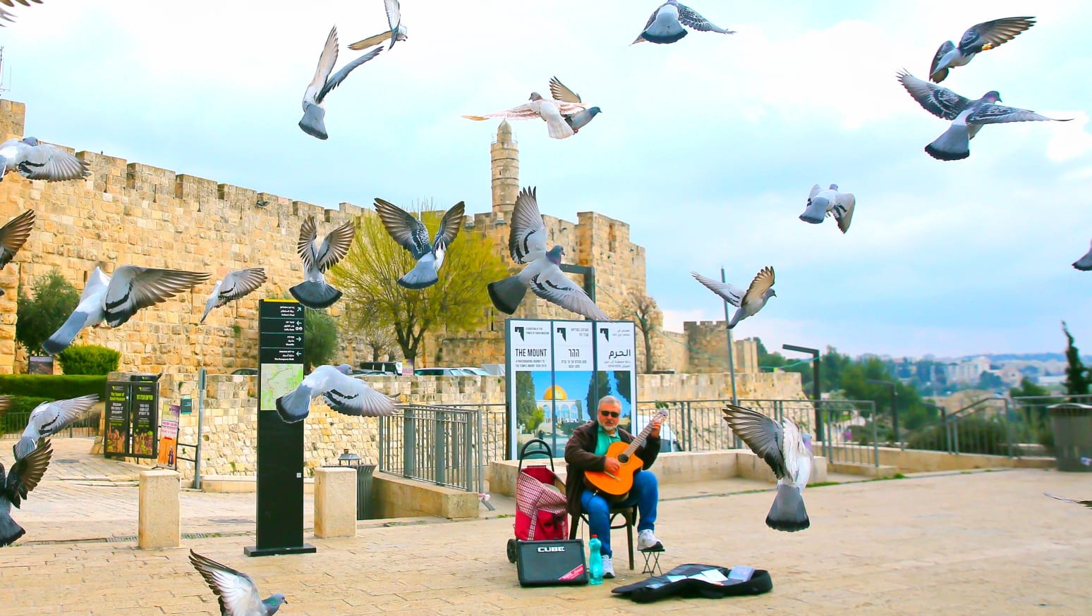 ישראל המוארת: הבוקר ליד מגדל דוד