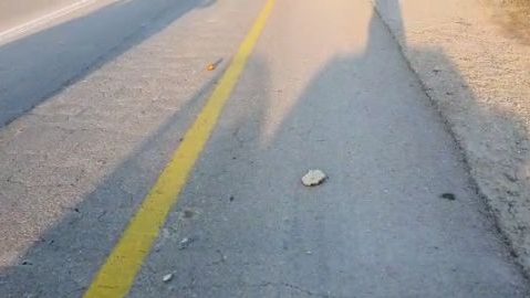 צילום: חברים לשעת צרה הטרור בארצנו: נזק לרכב בפיגוע אבנים בין תפוח לאריאל