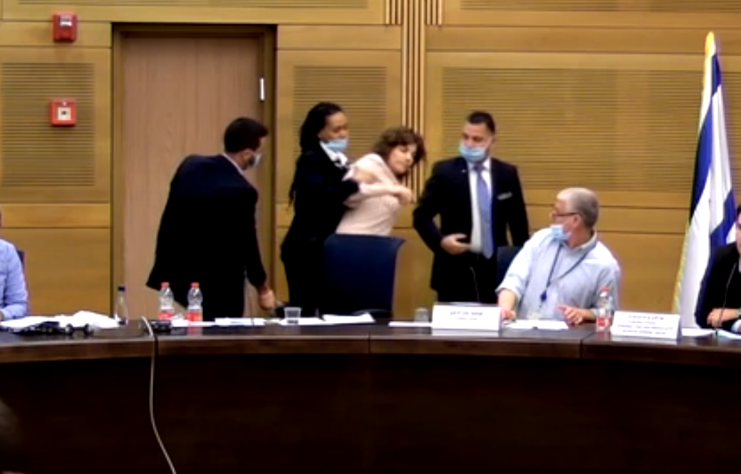 צילום: שידור ערוץ הכנסת לאחר שהתפרעה: סדרני הכנסת נאלצו להוציא את ח”כ זנדברג בכוח מהאולם