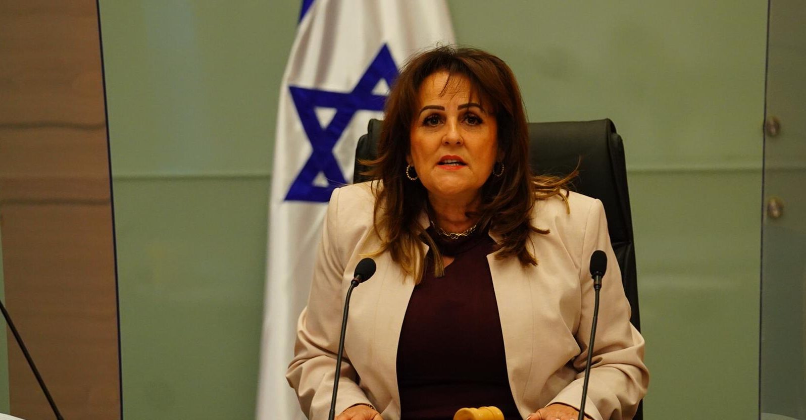 צילום: דוברות הכנסת ח