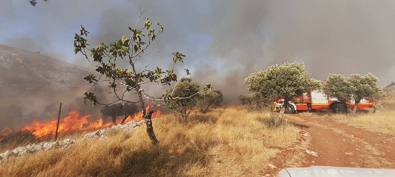 צילום: דוברות כבאות והצלה שוב חשד להצתה: שריפה מסכנת את היישוב גבעת רונן