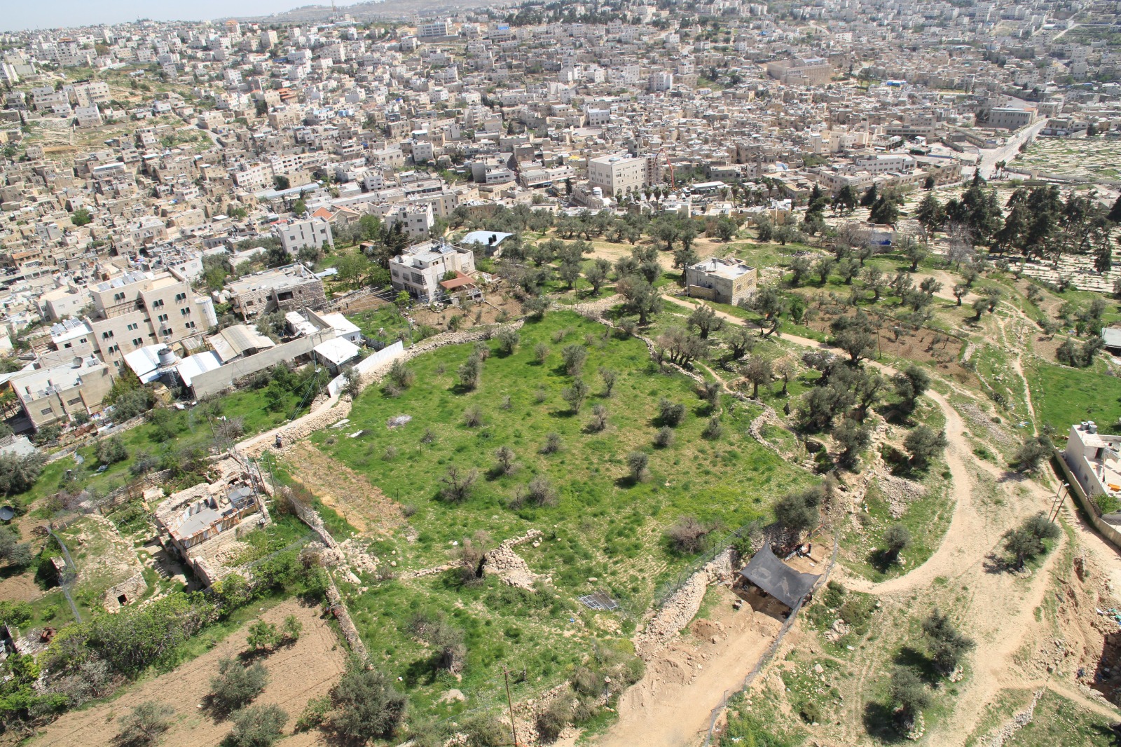 צילום: שומרים על הנצח עפ