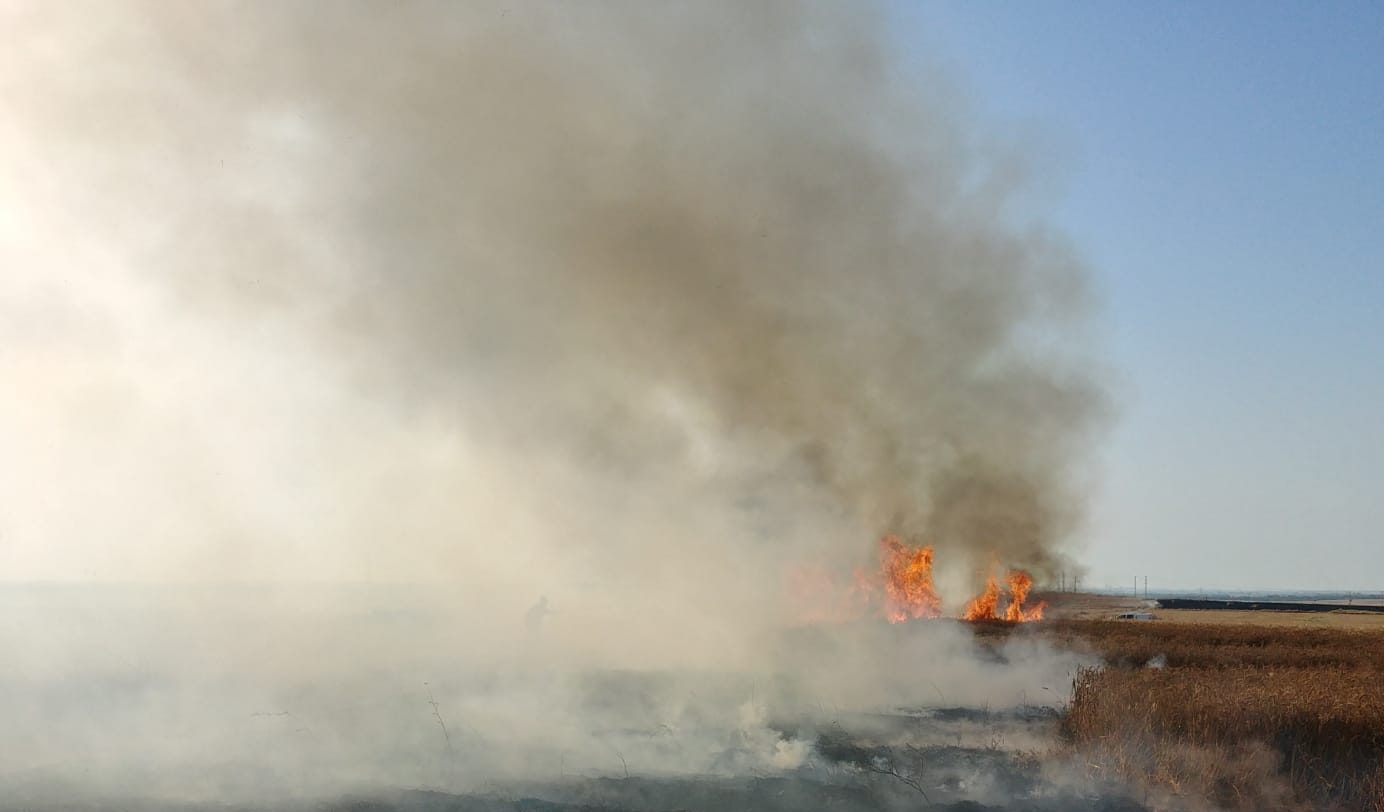 הטרור בארצנו: מחבלים השליכו בקבוקי תבערה וגרמו לשריפה