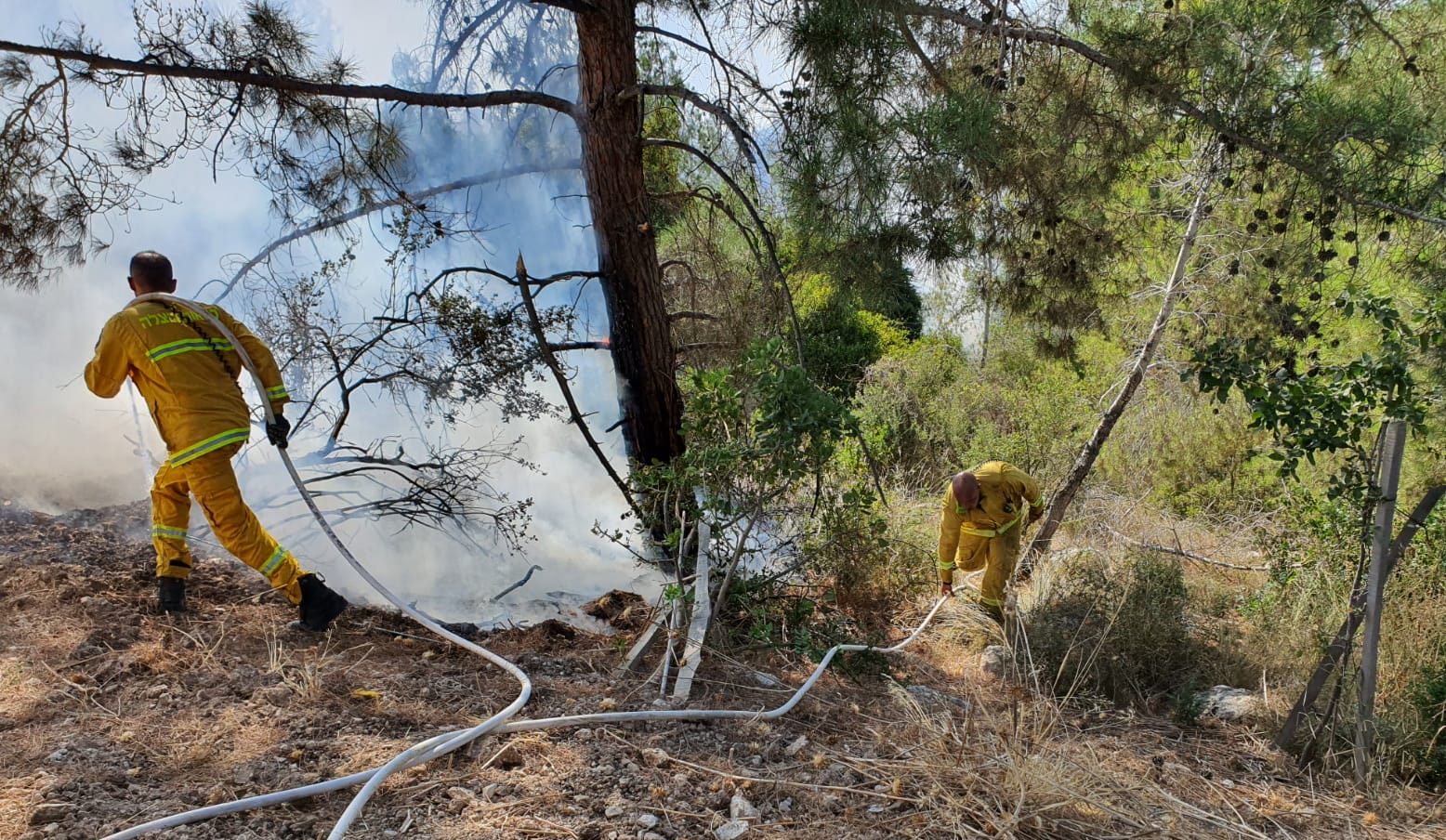 צילום: דוברות כבאות והצלה לישראל טרור ההצתות: שלושה חשודים בהצתה סמוך למושב זנוח עוכבו לחקירה