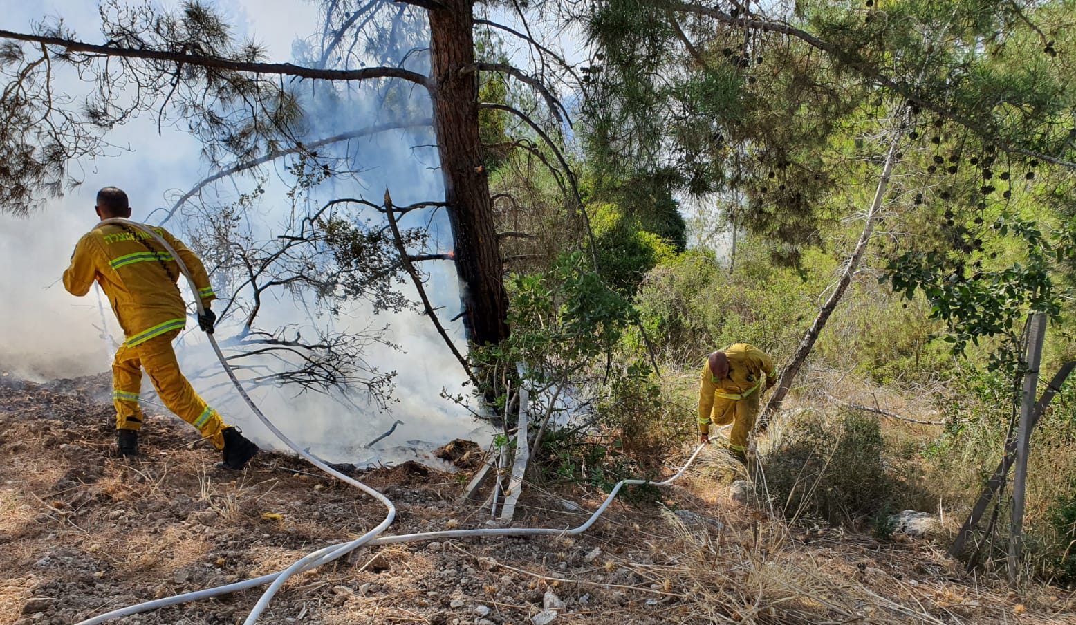 טרור ההצתות: שלושה חשודים בהצתה סמוך למושב זנוח עוכבו לחקירה