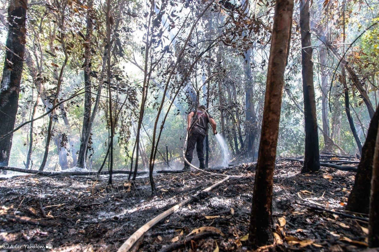 צילום: דוברות חיל האוויר לוחמי האש מבסיסי חיל-האוויר לוקחים חלק בכיבוי השריפות בישובי העוטף