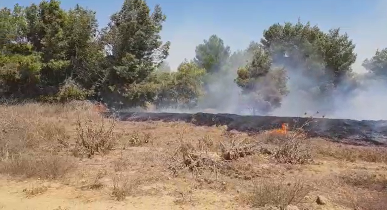 צילום: משה ברוכי, יערן קק הטרור מעזה נמשך | שתי שריפות פרצו במועצה האזורית חוף אשקלון כתוצאה מנחיתת בלוני תבערה
