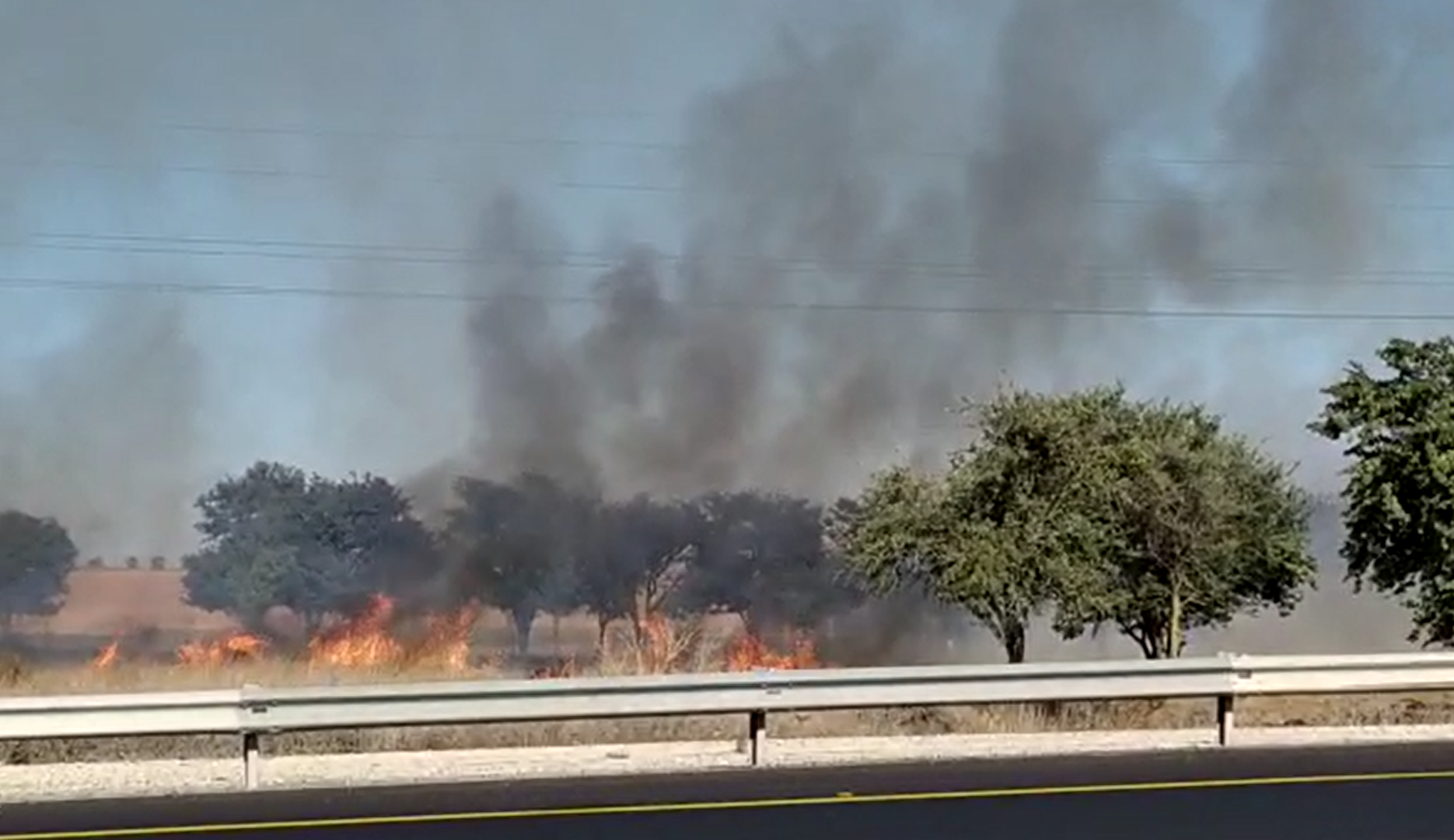צילום: מנדי ריזל שריפה פרצה במועצה האזורית אשכול כתוצאה מבלון תבערה, 15 שריפות מהבוקר