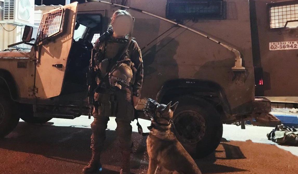 צילום: דובר צה מצטיינת הנשיא שעלתה ממולדובה והחליטה להתגייס: