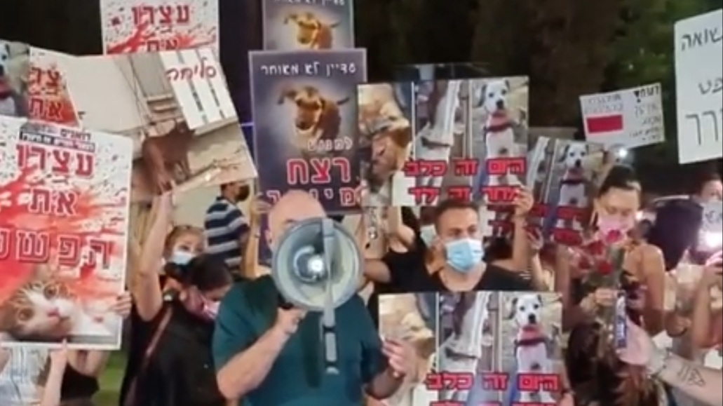 הפגנה לזכויות בע"ח באשדוד, עקב חשד לרצח כלבה ע"י בעליה בעיר