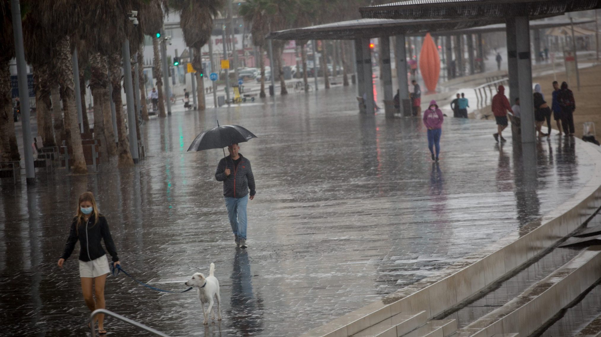 בוקר טוב עם ישראל היקר | תחזית מזג האוויר: גשום וקר מהרגיל