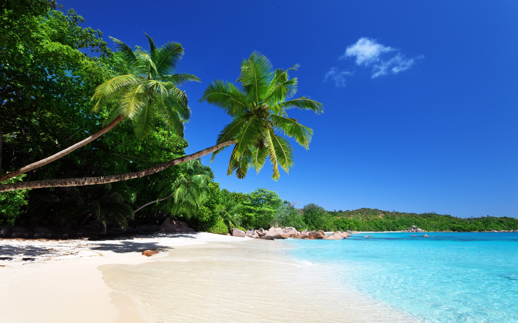 צילום: Anse Lazio beach at Praslin island, Seychelles 6 שעות לגן עדן: החופים המומלצים באיי סיישל