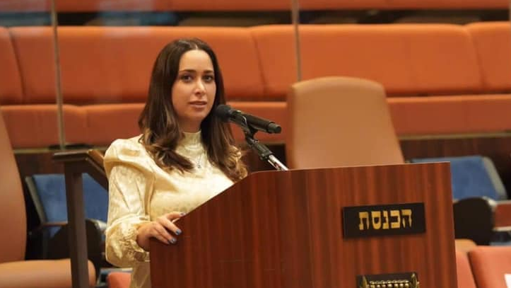 צילום: דוברות ח״כ מאי גולן היחידה שמגינה על הלוחם: ״ח״כ שמקלל ומרביץ לשוטרים צריך לסיים את היום בחקירה״