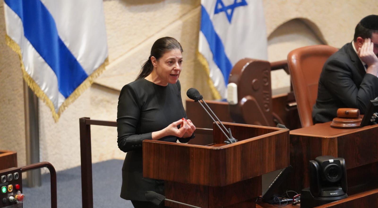 צילום: דוברות הכנסת בית המשפט המחוזי קבע: פריימריז במפלגת העבודה