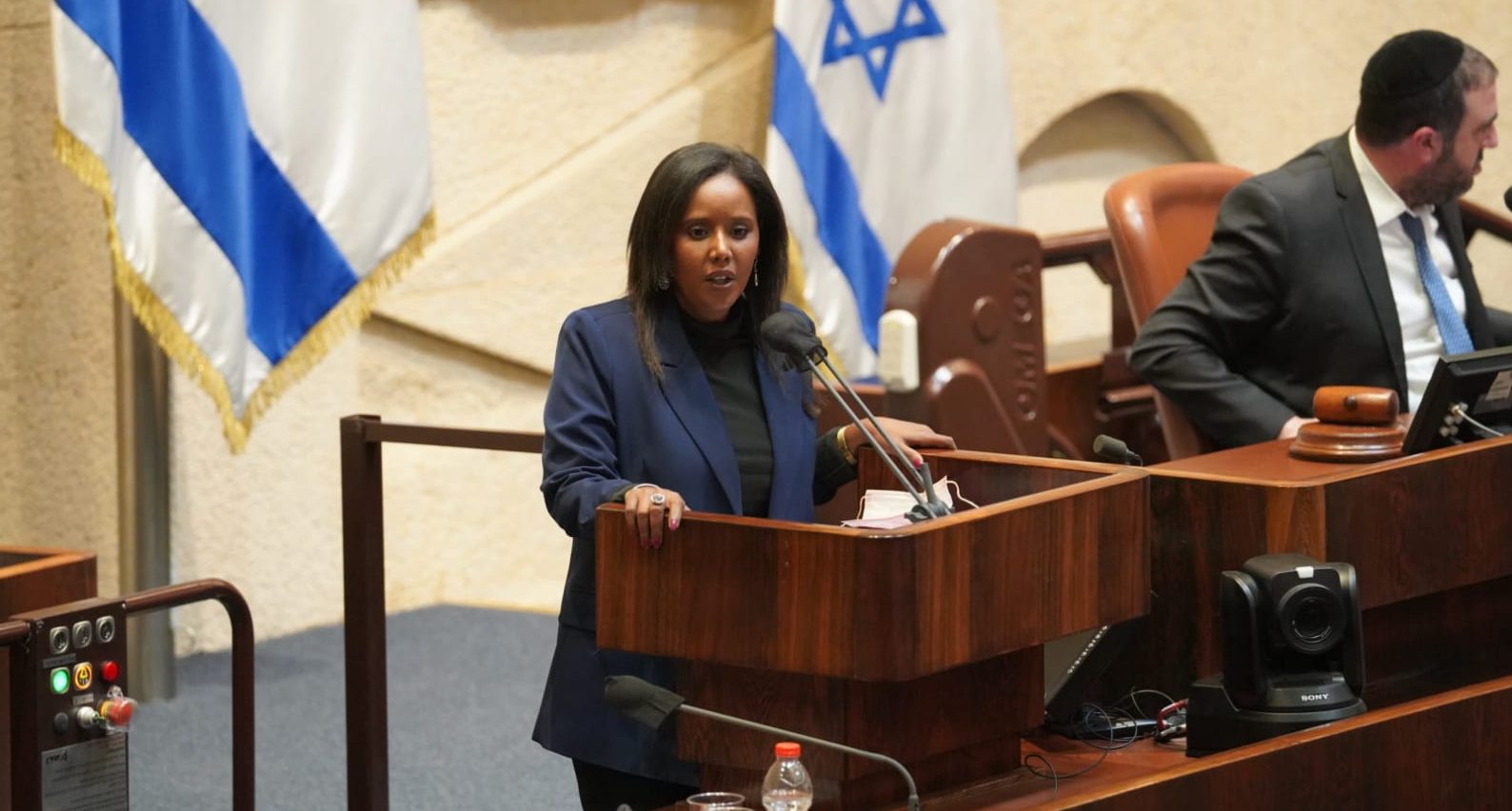 צילום: דוברות הכנסת ארגון חותם לשרת הקליטה: הפסיקי להביא מהגרים לא יהודים לישראל