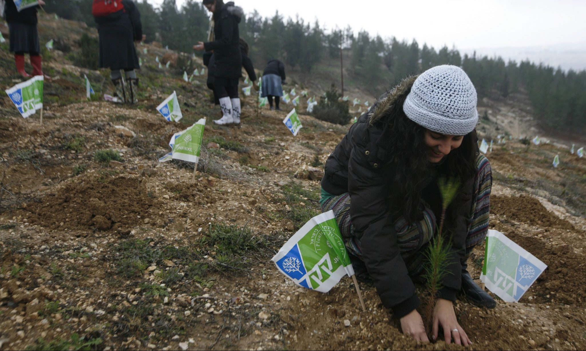 צילום: מרים אלסטר, פלאש 90 תנועת רגבים חוגגת יום הולדת בט