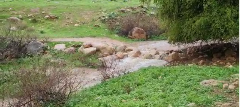 זרימה נפלאה בעיינות פצאל בשומרון | צפו