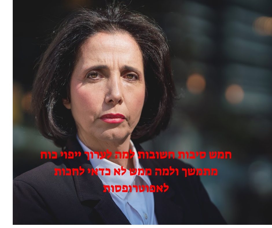 צילום: צילום באדיבות רחל שחר אפוסטיל-מהו אפוסטיל ומתי נזדקק לו