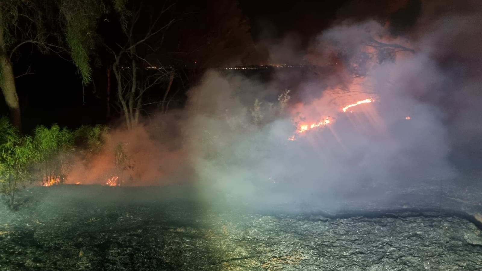 צילום: בטחון שדה טרור האש בדרום נמשך: 2 שריפות נוספות פרצו בעוטף ישראל – תמונות