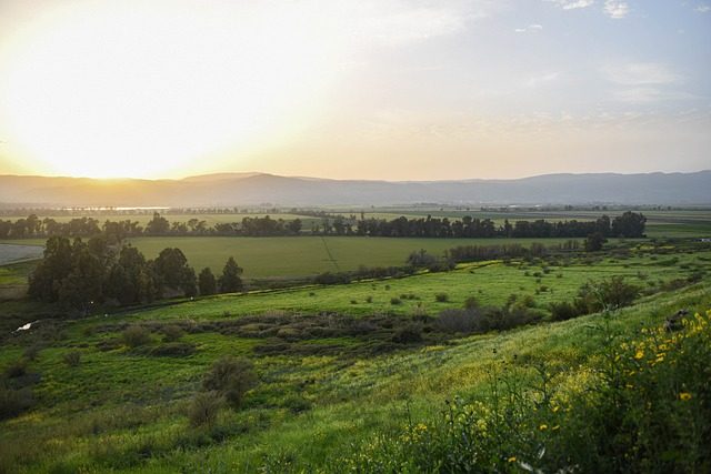צילום: תמונה מאתר פיקסלביי מצפה אופיר – הגולן בעיניים אחרות