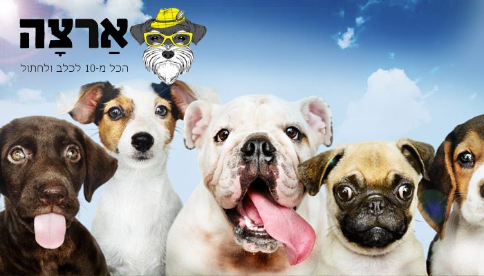 צילום: freepic למה לשלם יותר על ציוד לכלבים וחתולים?